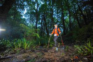 BIB: 
                            <button type="button" onclick="openModal(19241951)" class="btn btn-primary btn-sm float-right btn-popup" data-toggle="modal" data-target=".modal-high-quality">
                        <i class="fas fa-shopping-cart"></i> Add to Cart
                    </button>
                                            <button type="button" onclick="isThisMe(19241951, true)" class="btn btn-success btn-sm float-right btn-popup btn-isme hidden" data-toggle="tooltip" data-placement="bottom" title="นี่คือรูปของคุณใช่ไหม คลิกที่นี่เพื่อเอาเข้าอัลบั้ม">
                        <i class="fas fa-plus"></i> Add to album
                    </button>
                    <button type="button" onclick="isThisMe(19241951, false)" class="btn btn-warning btn-sm float-right btn-popup btn-isnotme hidden">
                        <i class="fas fa-ban"></i> Remove from album
                    </button>